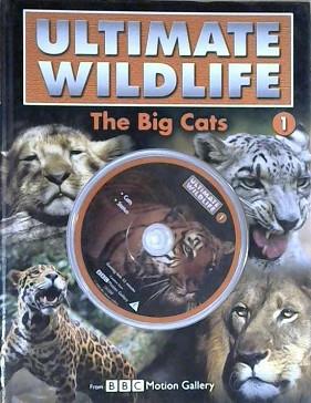 The Big Cats | 9999903152972