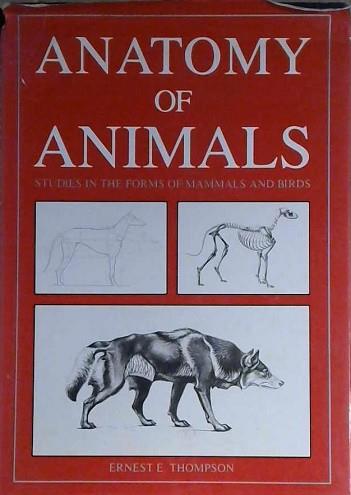 Anatomy of Animals | 9999903039464 | Thompson, Ernest E.