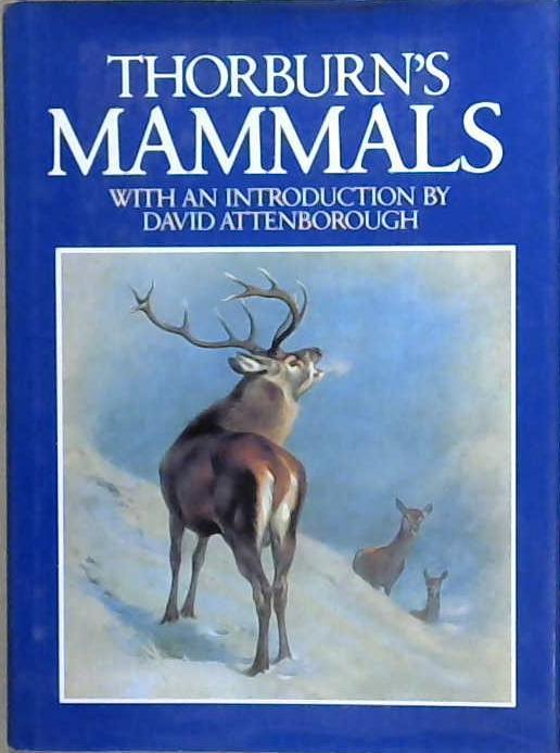 Thorburn's Mammals | 9999903176541 | Archibald Thorburn