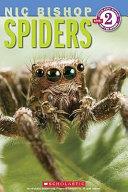 Spiders | 9999903118275 | Nic Bishop